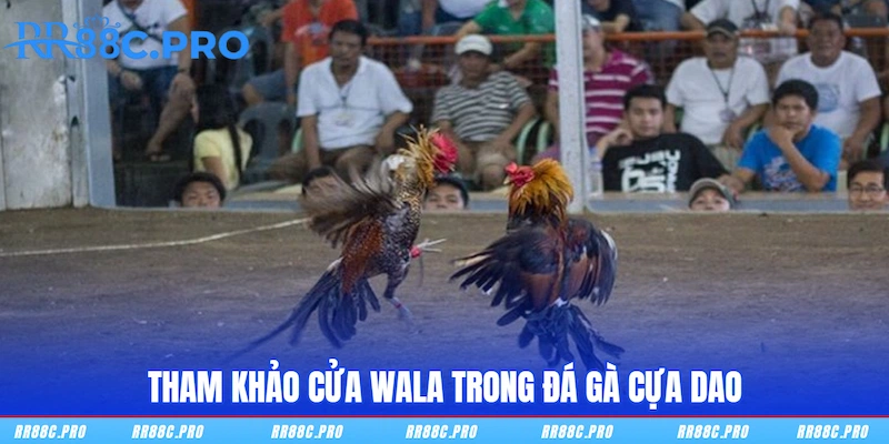 Tham khảo cửa Wala trong Đá gà cựa dao
