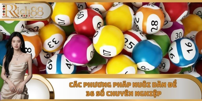 Các phương pháp nuôi dàn đề 36 số chuyên nghiệp